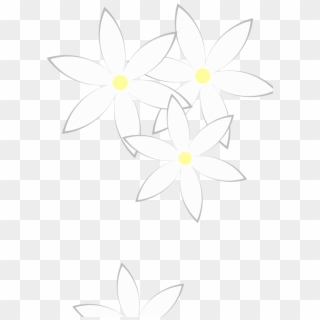 Daisies Png, Transparent Png