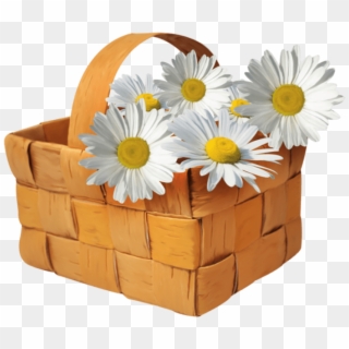 Download Large Transparent Basket With Daisies Png - Daisy Flower In Basket, Png Download