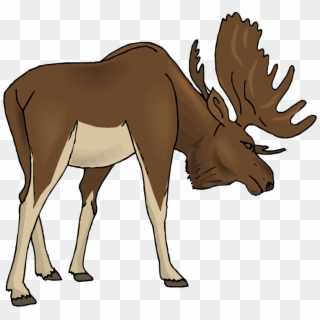 Moose Cartoon Images Hd Photo - Cartoon Moose, HD Png Download