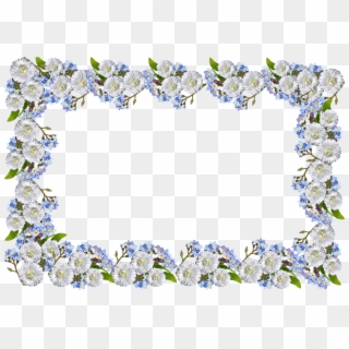 Frame, Daisies, Forget Me Not, HD Png Download