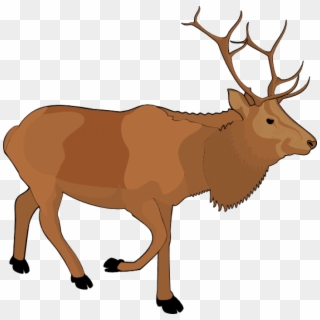 Download Moose Png Images Background - Clipart Reindeer, Transparent Png