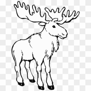 Png Library Animals Printable Coloring Pages Page - Moose Coloring Pages, Transparent Png