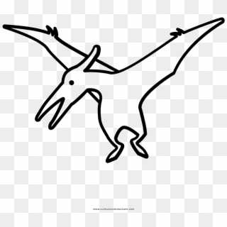 Pterodactyl Coloring Page - Line Art, HD Png Download