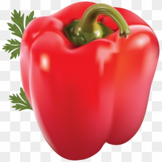 Pepper Png Image - 1 Red Bell Pepper, Transparent Png
