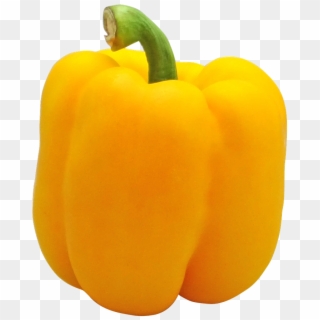 Pepper, Yellow, Bell, Holland, Vegetable, Png - Yellow Bell Pepper Png, Transparent Png