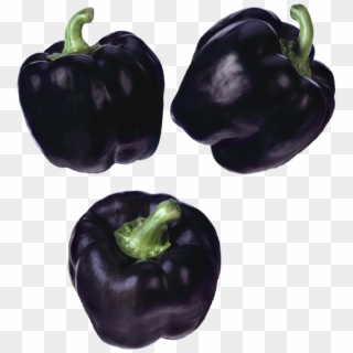 Black Pepper - Dark Purple Pepper, HD Png Download