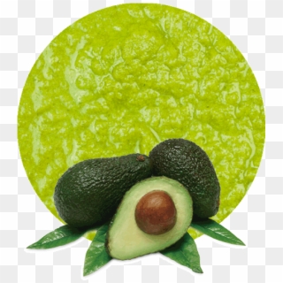 Avocado Puree - Fruits Green, HD Png Download