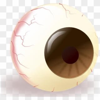 Small - Funny Eyeball Clip Art, HD Png Download