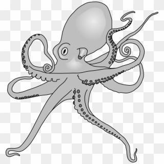 2000 X 2105 11 - Octopus Drawing, HD Png Download