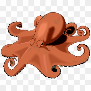 Octopus Clip Art - Real Octopus Clipart, HD Png Download