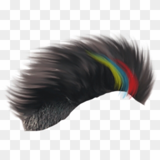 Hair PNG Transparent For Free Download - PngFind