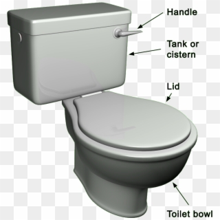 Choosing The Right Toilet For You - Back Part Of Toilet, HD Png Download