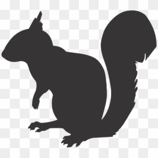 Squirrel Silhouette Clipart, HD Png Download