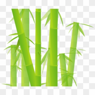 Bamboo Clipart Transparent Background - Transparent Background Bamboo Clipart, HD Png Download