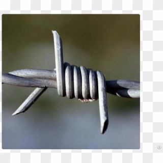 Double Single Twist Barbed Wire - Barbed Wires, HD Png Download