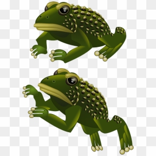 Frog - Frog 2d Png, Transparent Png