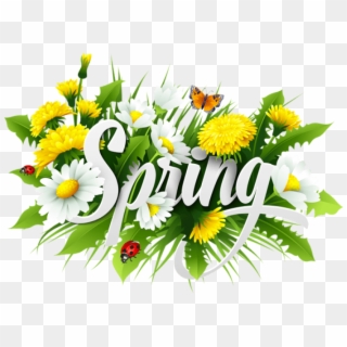 Free Png Download Spring Decorative Png Images Background - Spring Day Vector, Transparent Png