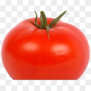 Fresh Red Tomato Png Image - Tomate Png, Transparent Png