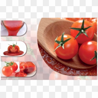 Click To Enlarge Image Saniforce-tomato - Paradižnikova Mezga Za Ozimnico, HD Png Download