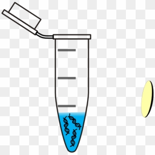 Tube Dna Water Clip Art - Eppendorf Tube With Dna, HD Png Download