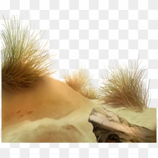 Tube Png Sable, Transparent Png