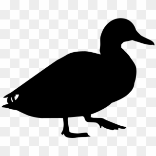 Duck Black And White, HD Png Download