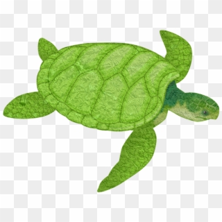 Turtle Animal Sea Animal - Sea Turtle Clip Art, HD Png Download