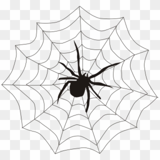 Spider , - Spider On A Web, HD Png Download