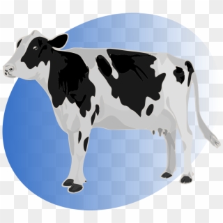 P Cow Blue - Cow, HD Png Download