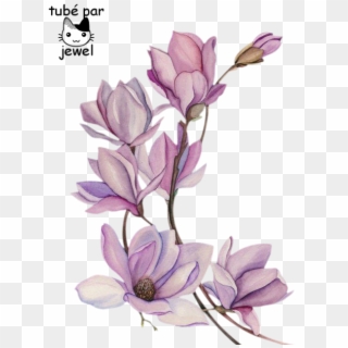 Tattoo Flower Watercolour Watercolor Flowers Painting - Tattoo Watercolor Magnolia, HD Png Download