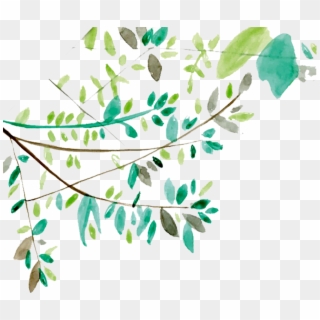Vines Clipart Watercolor - Tree Branches With Leaves Watercolor, HD Png Download