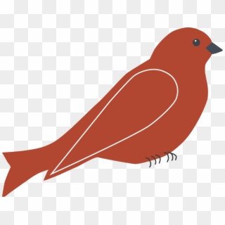 Red Bird Png - Finch, Transparent Png