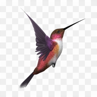 Kingfisher Bird Transparent Image - Flying Birds Bird Png, Png Download