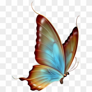 Transparent Background Butterfly Png , Png Download, Png Download