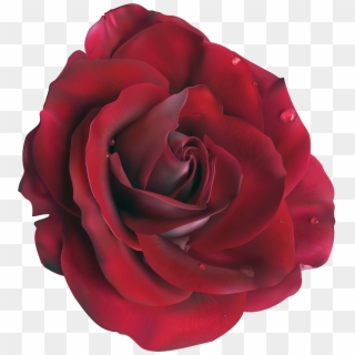 Red Large Rose Clipart Picture M=1374271200 - Red Flower Png, Transparent Png