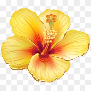 Tropical Flower Clipart , Png Download, Transparent Png