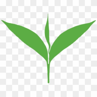 Green Leaves Clipart Tea Leaf - Tea Leaf Logo Png, Transparent Png