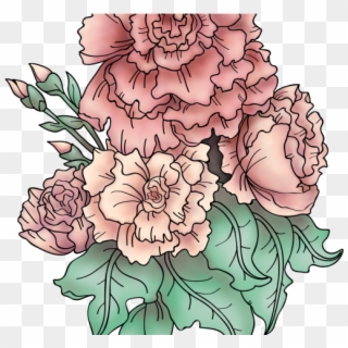 Drawn Carnation Transparent - Rose And Carnation Tattoo, HD Png Download