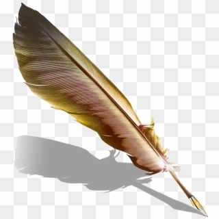 800 X 800 14 - Quill, HD Png Download