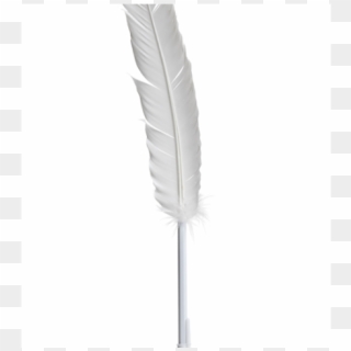 Quill Clipart Kalam - Feather Pen, HD Png Download