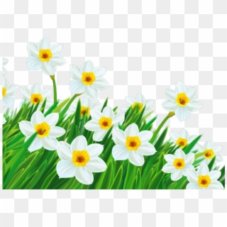 Easter Flower Clipart Daffodil - Clip Art Transparent Flower, HD Png Download