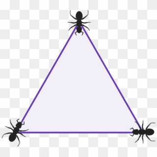 Diagram Of A Triangle With 3 Ants Sat One At Each Vertex - Three Ant Riddle, HD Png Download