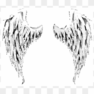 All Photo Png Clipart - Cardinals Appear When Angels Are Near, Transparent Png