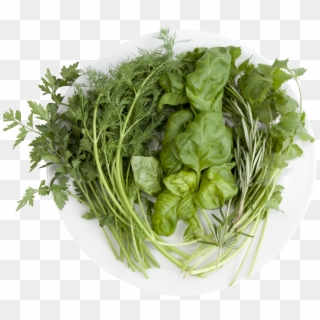 Shop Just Vertical Herblicious Chefpng - Parsley, Transparent Png