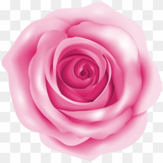 Pink Rose Png Clip Art Image - Clip Art, Transparent Png