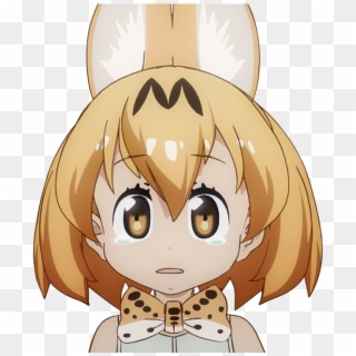 That's Weird , - Kemono Friends Serval Sad, HD Png Download
