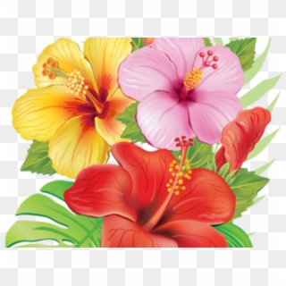 Tattoo Tropical Flowers, HD Png Download - 640x480(#1059678) - PngFind