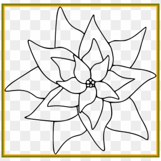 The Best Poinsettia Clipart Clip Art Pict Of Flower - Clip Art White Poinsettia, HD Png Download