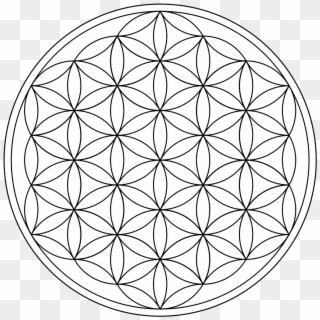 Flower Of Life 19circles36arcs Enclosed - Flower Of Life Svg, HD Png Download