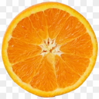 Orange Slice - Sweet Orange Essential Oil Benefits, HD Png Download